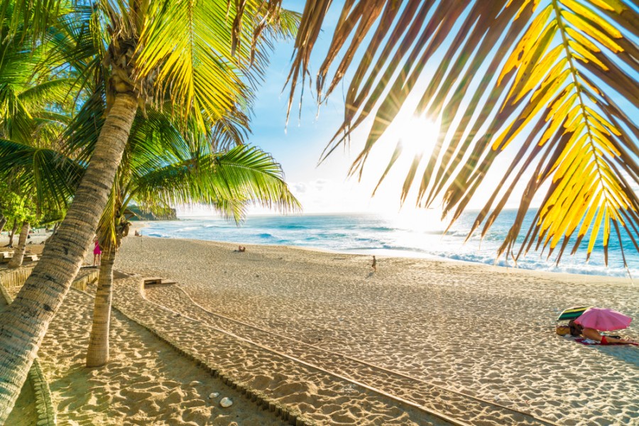 découvrez les magnifiques plages de la réunion, où le sable fin et les eaux cristallines vous invitent à la détente. profitez d'activités nautiques, de paysages à couper le souffle et d'une ambiance tropicale unique sur cette île paradisiaque.