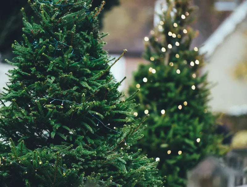 découvrez l'univers féerique du noël scandinave : des décorations épurées, des traditions chaleureuses et des recettes délicieuses qui apportent une touche nordique à vos fêtes. plongez dans l'ambiance magique de cette célébration unique !