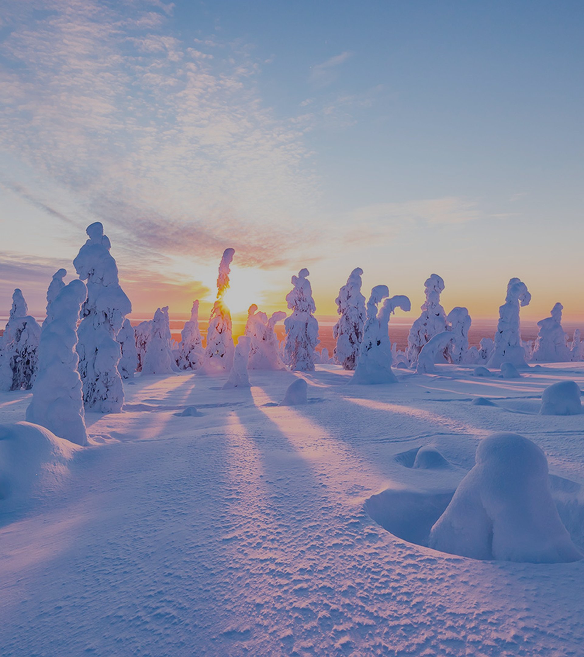 découvrez les incontournables de la laponie, une terre magique où les paysages enneigés se mêlent à la culture sami. explorez les fjords, admirez le spectacle des aurores boréales et vivez des expériences uniques comme des balades en traîneau à chiens ou des safaris en motoneige. préparez-vous à une aventure inoubliable au cœur de la nature sauvage !