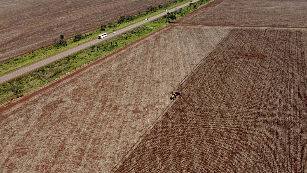 découvrez comment le mercosur influence le secteur agricole, les opportunités d'exportation, les enjeux environnementaux et les défis pour les agriculteurs sud-américains et européens.