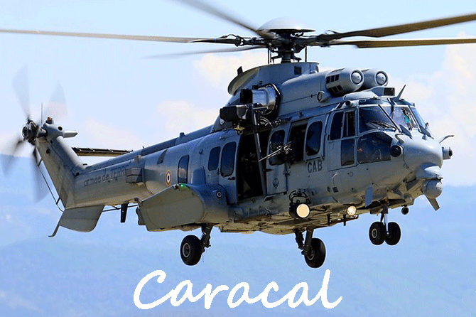 découvrez les hélicoptères caracal, des aéronefs polyvalents et performants, utilisés par les forces armées pour des missions de transport, de sauvetage et d'assistance. apprenez-en plus sur leurs caractéristiques techniques, leur rôle sur le terrain et leur importance stratégique dans les opérations militaires.